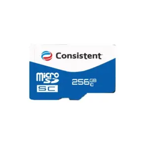 Consistent Micro SD Card 256GB (CTM10256)