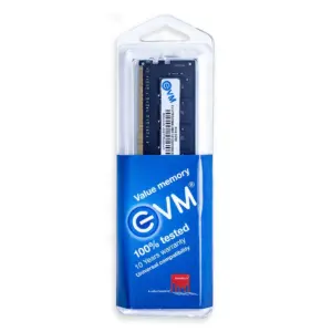 EVM Desktop Ram 8GB DDR4 3200Mhz  10 Years